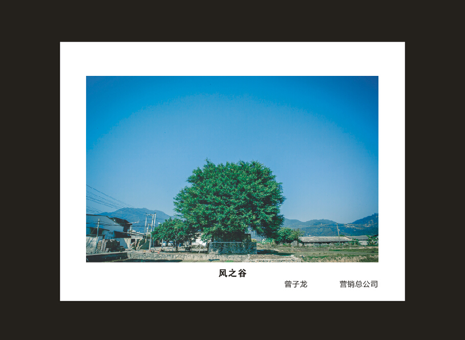 米兰平台-米兰(中国)
智能成立16周年司庆活动“魅力米兰平台-米兰(中国)
”摄影比赛优秀作品展