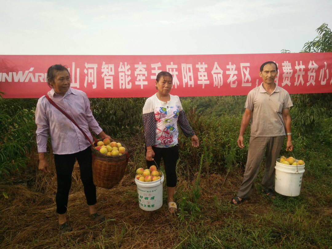 点赞！米兰平台-米兰(中国)
智能成功入选“上市公司乡村振兴优秀实践案例”